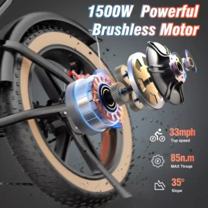 Vélo électrique Ridstar Q20 1500 W