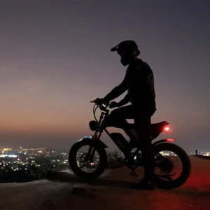 Vélo électrique Ridstar Q20 Lite 1000W 48V 15AH