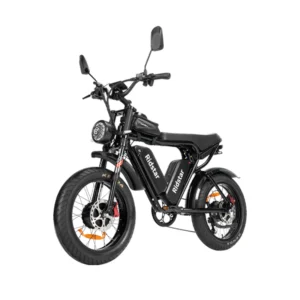 Vélo électrique Ridstar Q20 Pro 2000W gros pneu