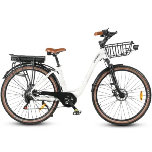 Vélo électrique SAMEBIKE RS-A07 500W Moteur