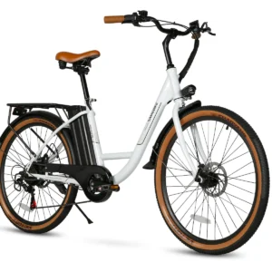 Vélo électrique SAMEBIKE TDE10Z 350W Moteur