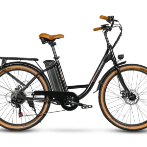 Vélo électrique SAMEBIKE TDE10Z 350W Moteur