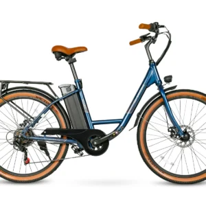 Vélo électrique SAMEBIKE TDE10Z 350W Moteur