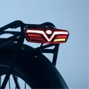 Vélo électrique Tenways CGO800S