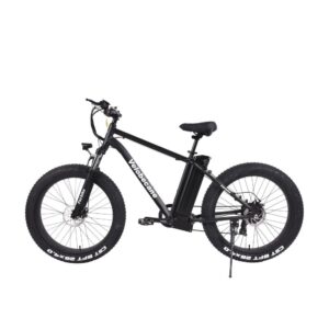 Vélo électrique VTT fatbike Velobecane Fatbike