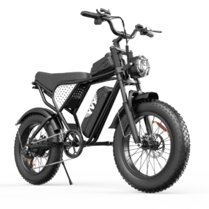 Vélo électrique YVY C20 Lite 1000W gros pneu