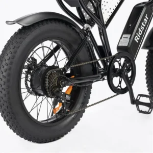 Vélo électrique YVY C20 Lite 1000W gros pneu