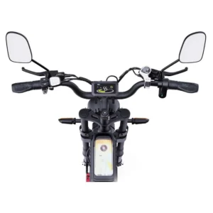 Vélo électrique YVY C20Pro 2000W à gros pneus à double moteur