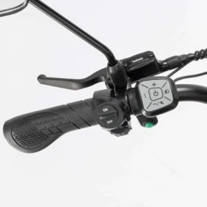 Vélo électrique YVY C20Pro 2000W à gros pneus à double moteur