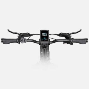 Vélo électrique compact Engwe L20 3.0 Pro