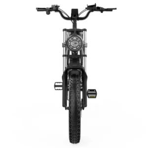Vélos électriques YVY C20 1500W