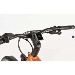 Vélo électrique Winora Yakun X10 2024
