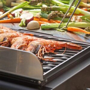 Barbecue Plancha électrique Duo K – Krampouz