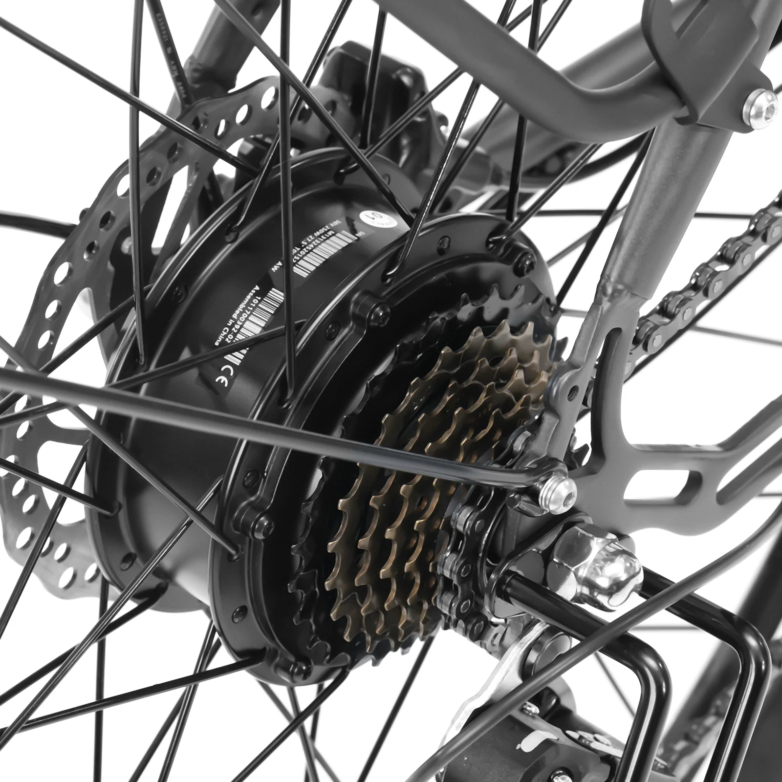 Eleglide Vélo de Montagne Électrique Mopride 3
