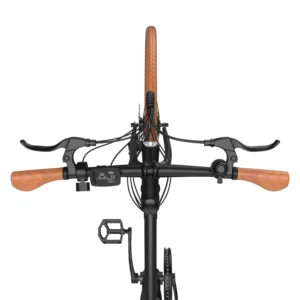 Vélo de route électrique Fafrees F1 250 W 700 x 38 C pouces 36 V 10 Ah