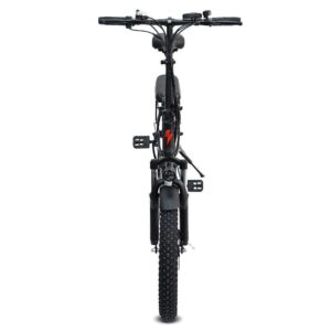 Vélo électrique Pliant Fafrees F20 250W 20&Prime; Vélo de Ville 16Ah Batterie