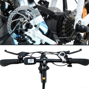 Vélo électrique Pliant Fafrees F20 250W 20&Prime; Vélo de Ville 16Ah Batterie