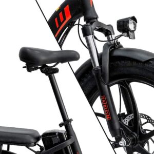 Vélo électrique Pliant Fafrees F20 250W 20&Prime; Vélo de Ville 16Ah Batterie