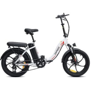 Vélo électrique Pliant Fafrees F20 250W 20&Prime; Vélo de Ville 16Ah Batterie