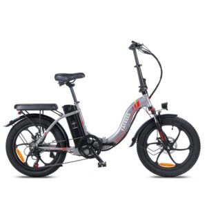 Vélo électrique Pliant Fafrees F20 250W 20&Prime; Vélo de Ville 16Ah Batterie