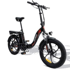 Vélo électrique Pliant Fafrees F20 250W 20&Prime; Vélo de Ville 16Ah Batterie