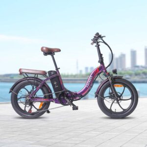 Vélo électrique pliant Fafrees F20 Pro 250W 20&Prime; en Cadre Ouvert 18Ah Batterie