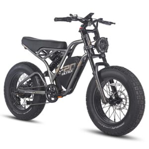 FAFREES F20 ULTRA 750W 20&Prime; Fat Bike E-Mountain Bike 48V 25Ah LG Batterie E-MTB