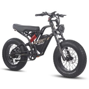 FAFREES F20 ULTRA 750W 20&Prime; Fat Bike E-Mountain Bike 48V 25Ah LG Batterie E-MTB