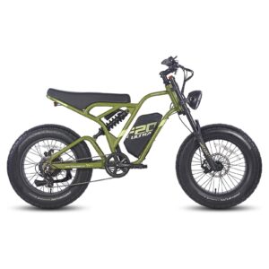 FAFREES F20 ULTRA 750W 20&Prime; Fat Bike E-Mountain Bike 48V 25Ah LG Batterie E-MTB