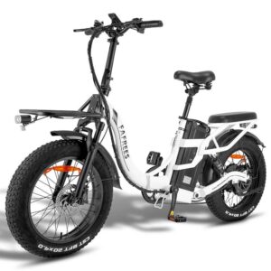 Fafrees F20 X-Max 750W 20&Prime; Fat Bike électrique Pliable VTC avec 30Ah Batterie Samsung