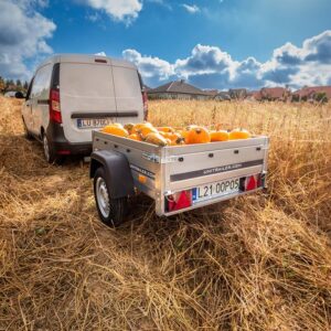 Petite remorque 150 x 106 cm Garden Trailer 150 KIPP Unitrailer
