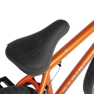 Radio Ceptor 26&Prime; BMX Cruiser