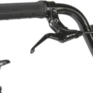 Xenon Pro 20&Prime; Vélo BMX Race