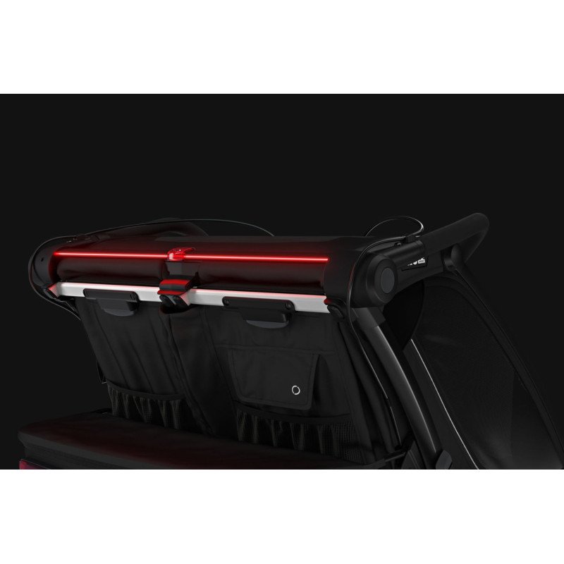 Remorque bébé vélo Thule pour 2 Enfants – Chariot Sport 2 Double – noir