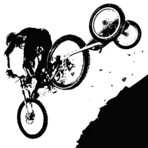 Charette pour velo Y-Frame Large 2.2