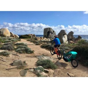 Remorque vélo charge 200 kg​ – Singletrailer II Sport – caribbean green