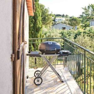Barbecue électrique Travel Q PRO 285 EX Napoléon