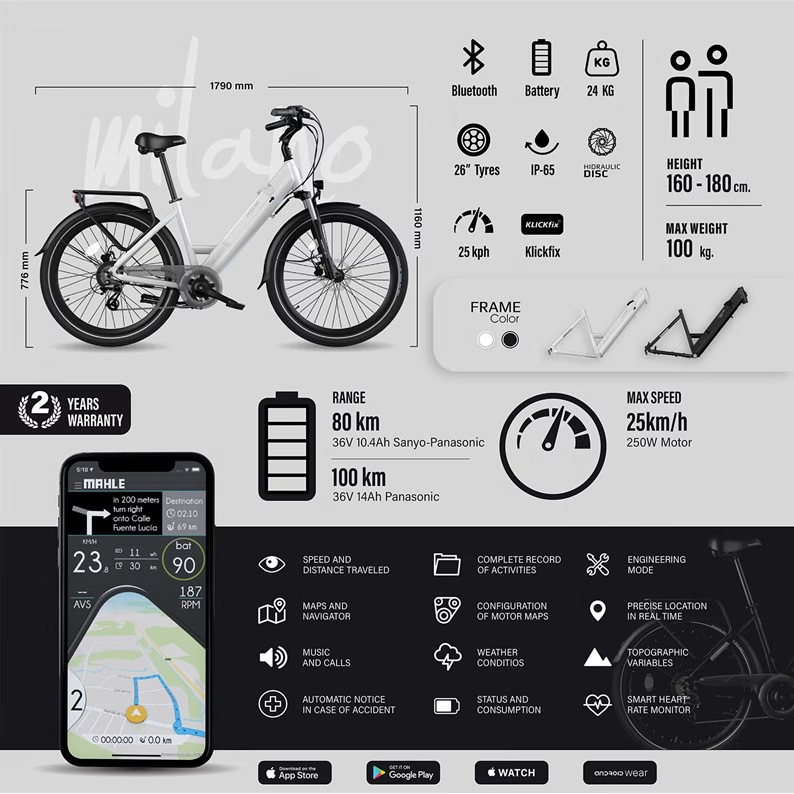 Vélo électrique Smartbike legend eBikes milano 14ah