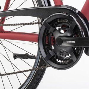 Vélo Winora Domingo 21 tout chemin