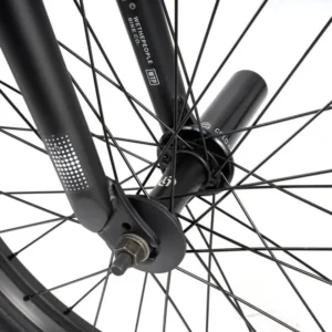 Reason Freecoaster 20&Prime; Vélo Freestyle BMX