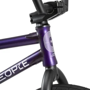 Reason Freecoaster 20&Prime; Vélo Freestyle BMX