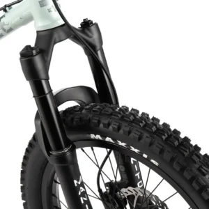 Wethepeople The Swamp Master 20&Prime; Velo  Bmx